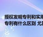 授權(quán)發(fā)明專利和實用新型專利的區(qū)別（發(fā)明專利和實用新型專利有什么區(qū)別 尤其申請的時候）