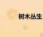 樹木叢生 百草豐茂（樹木叢生）