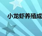 小龍蝦養(yǎng)殖成本計算（小龍蝦養(yǎng)殖成本）