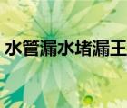 水管漏水堵漏王管用嗎（水管漏水如何堵漏）
