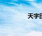 天字田字格寫法（天字）
