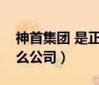 神首集團(tuán) 是正規(guī)公司嗎創(chuàng)業(yè)（神首集團(tuán)是什么公司）