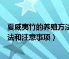 夏威夷竹的養(yǎng)殖方法和注意事項(xiàng)有哪些（夏威夷竹的養(yǎng)殖方法和注意事項(xiàng)）