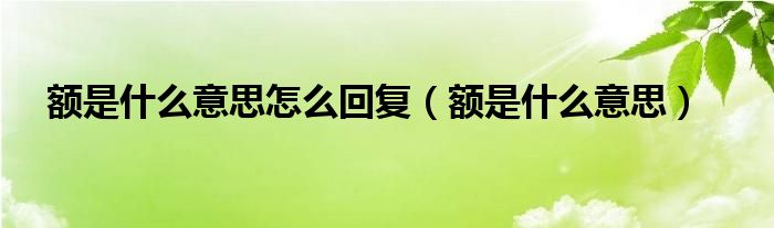 額是什么意思怎么回復（額是什么意思）