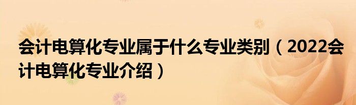 會(huì)計(jì)電算化專業(yè)屬于什么專業(yè)類別（2022會(huì)計(jì)電算化專業(yè)介紹）