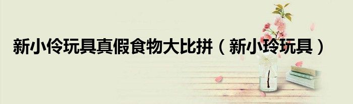 新小伶玩具真假食物大比拼（新小玲玩具）