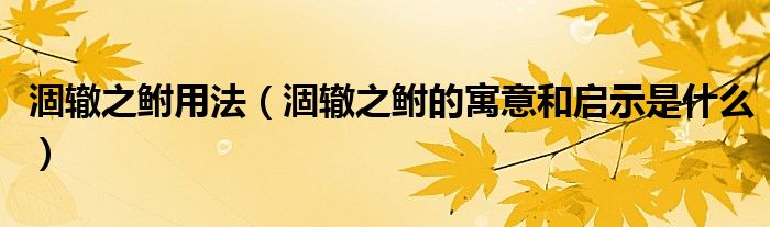 涸轍之鮒用法（涸轍之鮒的寓意和啟示是什么）