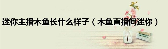 迷你主播木魚長(zhǎng)什么樣子（木魚直播間迷你）