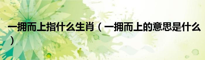 一擁而上指什么生肖（一擁而上的意思是什么）