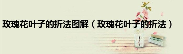 玫瑰花葉子的折法圖解（玫瑰花葉子的折法）