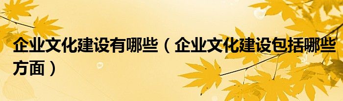 企業(yè)文化建設(shè)有哪些（企業(yè)文化建設(shè)包括哪些方面）