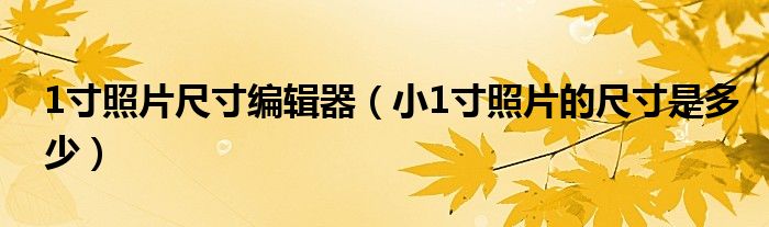 1寸照片尺寸編輯器（小1寸照片的尺寸是多少）