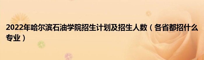 2022年哈爾濱石油學(xué)院招生計(jì)劃及招生人數(shù)（各省都招什么專(zhuān)業(yè)）