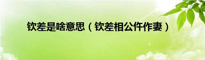 欽差是啥意思（欽差相公仵作妻）