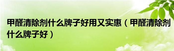 甲醛清除劑什么牌子好用又實(shí)惠（甲醛清除劑什么牌子好）