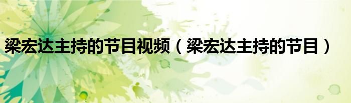梁宏達(dá)主持的節(jié)目視頻（梁宏達(dá)主持的節(jié)目）