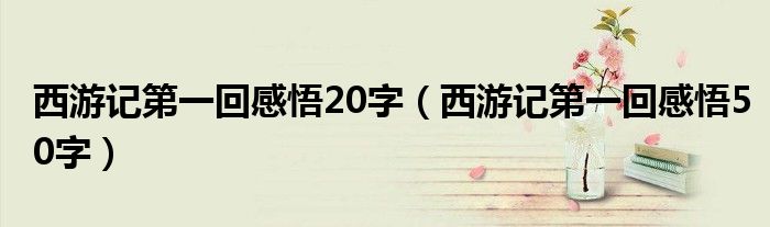 西游記第一回感悟20字（西游記第一回感悟50字）