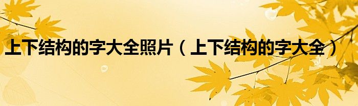 上下結(jié)構(gòu)的字大全照片（上下結(jié)構(gòu)的字大全）