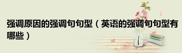 強調(diào)原因的強調(diào)句句型（英語的強調(diào)句句型有哪些）