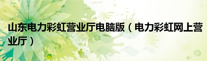 山東電力彩虹營業(yè)廳電腦版（電力彩虹網(wǎng)上營業(yè)廳）