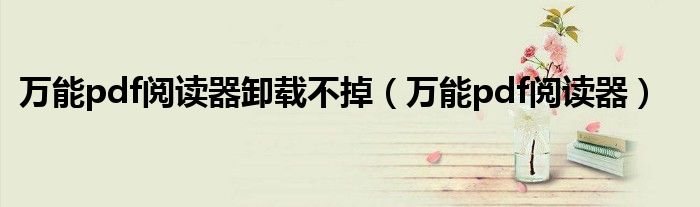 萬能pdf閱讀器卸載不掉（萬能pdf閱讀器）
