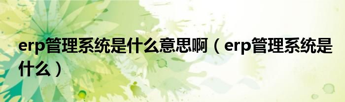 erp管理系統(tǒng)是什么意思?。╡rp管理系統(tǒng)是什么）