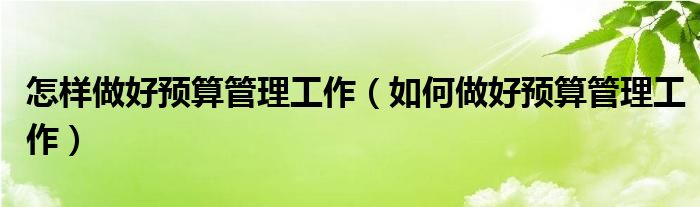 怎樣做好預(yù)算管理工作（如何做好預(yù)算管理工作）