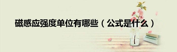 磁感應強度單位有哪些（公式是什么）