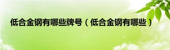 低合金鋼有哪些牌號（低合金鋼有哪些）