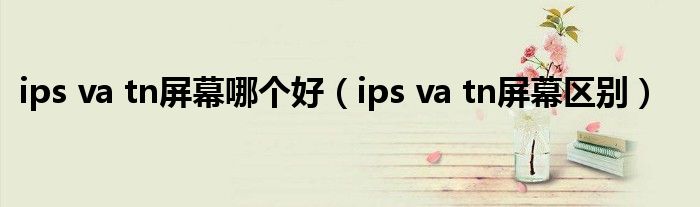 ips va tn屏幕哪個好（ips va tn屏幕區(qū)別）