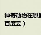 神奇動物在哪里百度云網盤（神奇動物在哪里百度云）