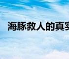 海豚救人的真實故事（為什么海豚會救人）