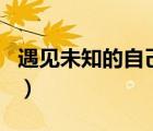 遇見(jiàn)未知的自己txt全集（遇見(jiàn)未知的自己txt）