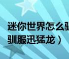 迷你世界怎么馴服迅猛龍視頻（迷你世界怎么馴服迅猛龍）