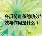 冬瓜荷葉茶的功效與作用及禁忌 - 致富熱（冬瓜荷葉茶的功效與作用是什么）