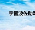 宇智波佐助對象（宇智波佐助喜歡誰）
