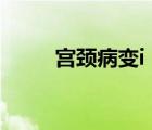 宮頸病變i（宮頸病變待排嚴(yán)重嗎）