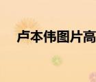 盧本偉圖片高清帥照（盧本偉圖片高清）