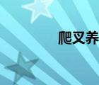爬叉養(yǎng)殖基地（爬叉養(yǎng)殖）