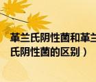 革蘭氏陰性菌和革蘭氏陽性菌的區(qū)別（革蘭氏陽性菌和革蘭氏陰性菌的區(qū)別）