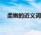 柔嫩的近義詞是什么詞（柔美的近義詞）