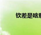 欽差是啥意思（欽差相公仵作妻）