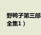 野鴨子第三部電連續(xù)劇20集（野鴨子第三部全集1）
