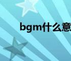 bgm什么意思怎么讀（bgm怎么讀）