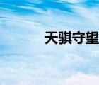 天騏守望先鋒（天琪守望先鋒）