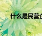 什么是民營企業(yè)家（什么是民營企業(yè)）