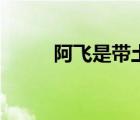 阿飛是帶土嗎貼吧（阿飛是帶土）