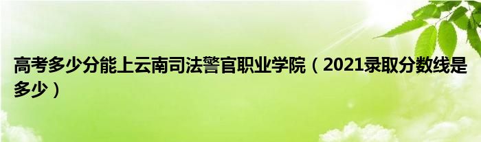 高考多少分能上云南司法警官職業(yè)學(xué)院（2021錄取分?jǐn)?shù)線是多少）