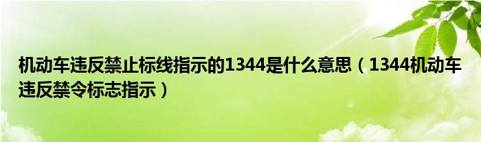 機(jī)動車違反禁止標(biāo)線指示的1344是什么意思（1344機(jī)動車違反禁令標(biāo)志指示）