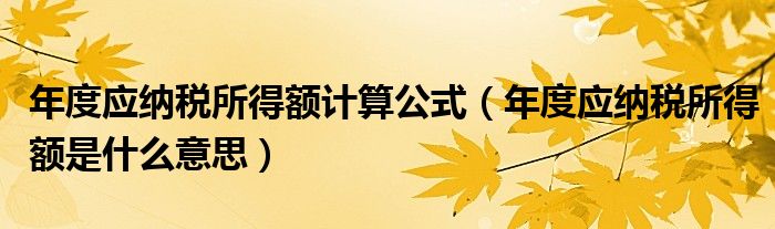 年度應(yīng)納稅所得額計(jì)算公式（年度應(yīng)納稅所得額是什么意思）